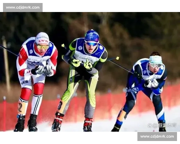 全面解析竞技体育数据趋势与运动表现统计分析方法